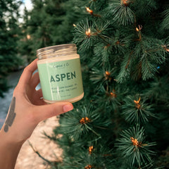 Bougie Aspen - Sapin baumier + pin